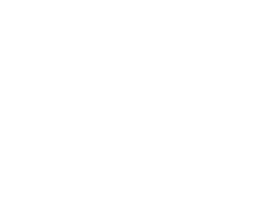 Logo PNG W V
